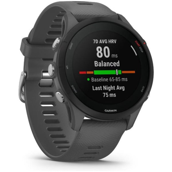 Garmin Forerunner 255 Tidal Blue