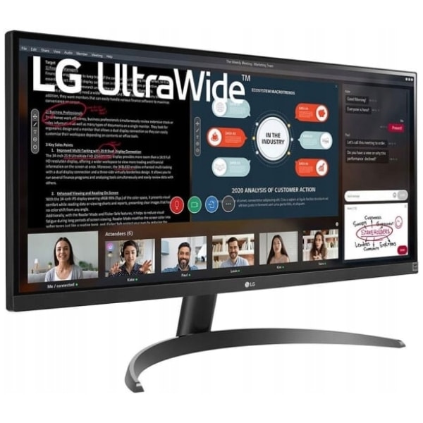 LG 29WP500 Monitor Connectivity