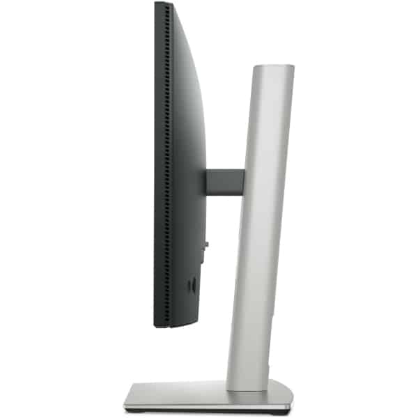 Monitor Dell P2225H Ergonomics